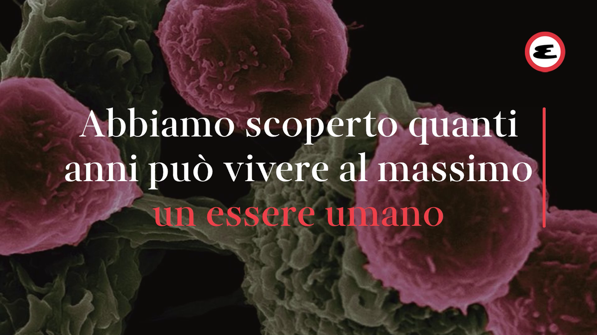 La scienza dell'impossibile - Chiara Marletto