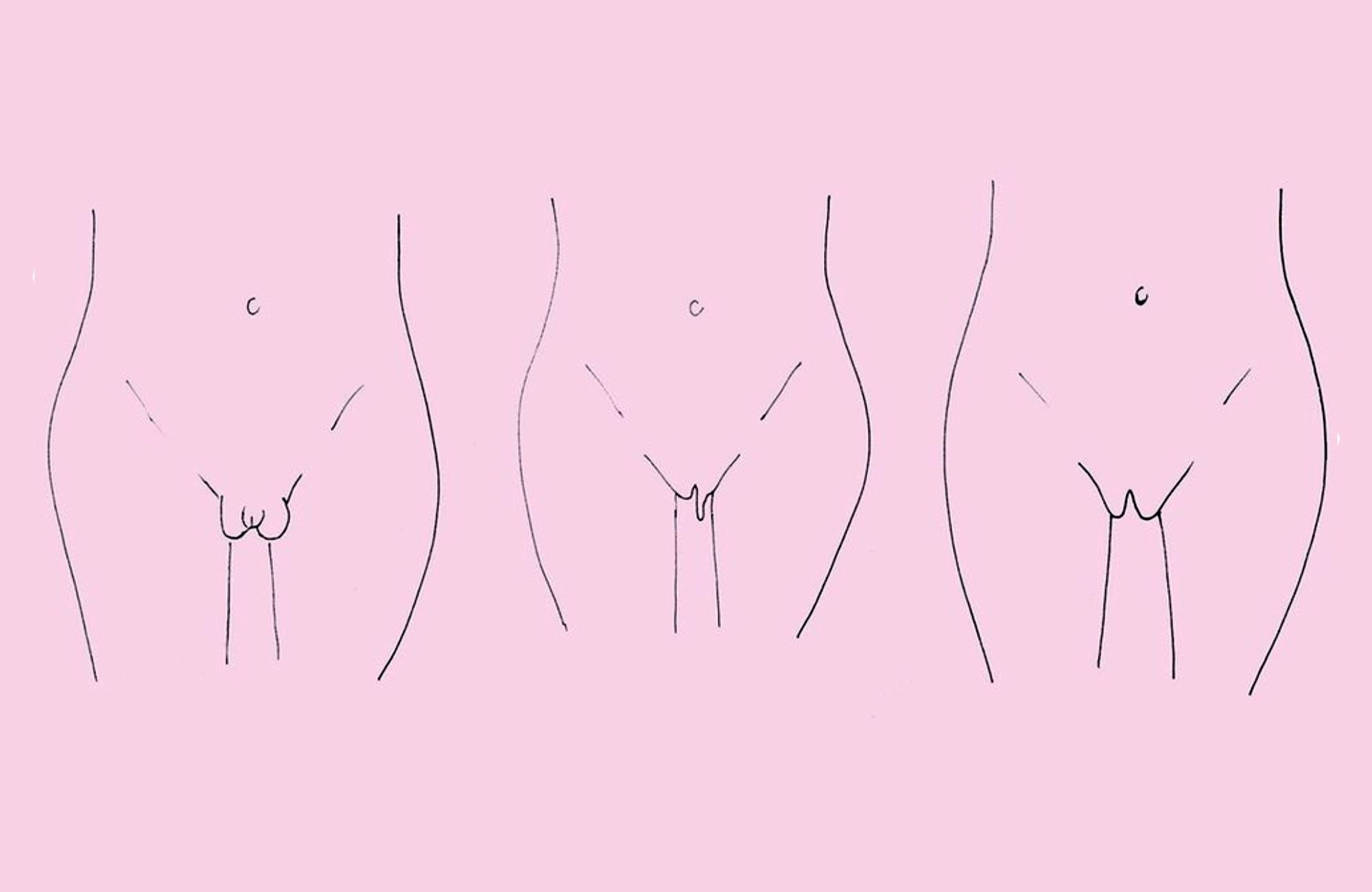 soplo Pensativo Hacer la cama Tipos de vulva: estos son los 7 más comunes
