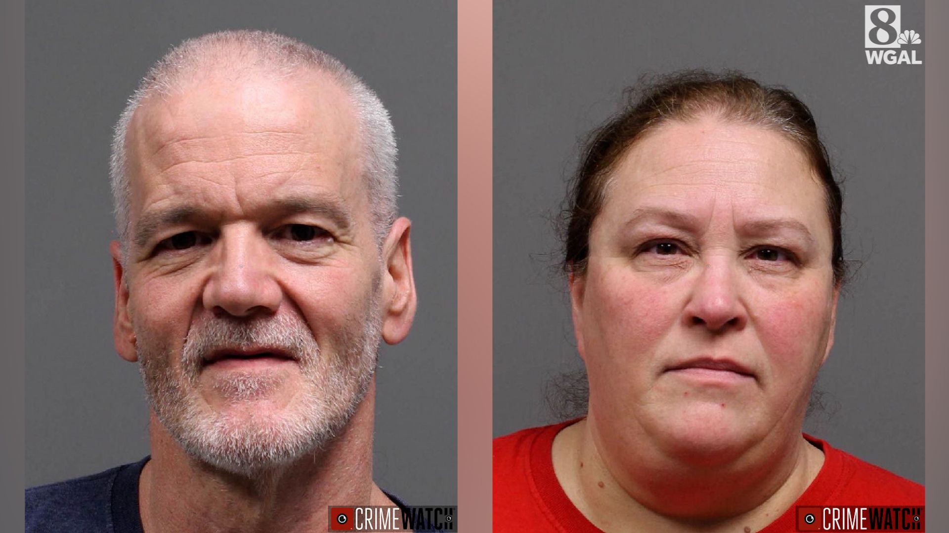Husband, wife charged with cruelty to animals in Lancaster County,