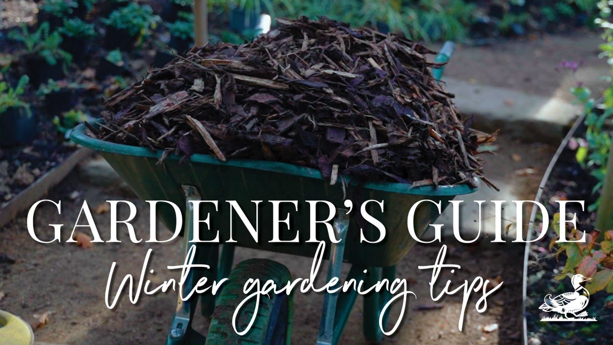 preview for Winter Gardening Tips