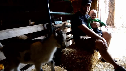 preview for Six-Month-Old Laughs Hysterically Watching Baby Goats