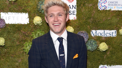 preview for 20 Times Niall Horan Was Adorable