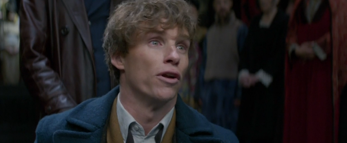 preview for Fantastic Beasts and Where to Find Them extended trailer
