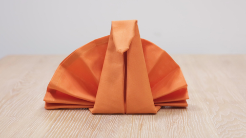 11 Best Napkin Folding Ideas How To Fold Fancy Napkins Videos