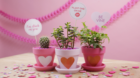 preview for How to Make Punny Valentine's Day Plants