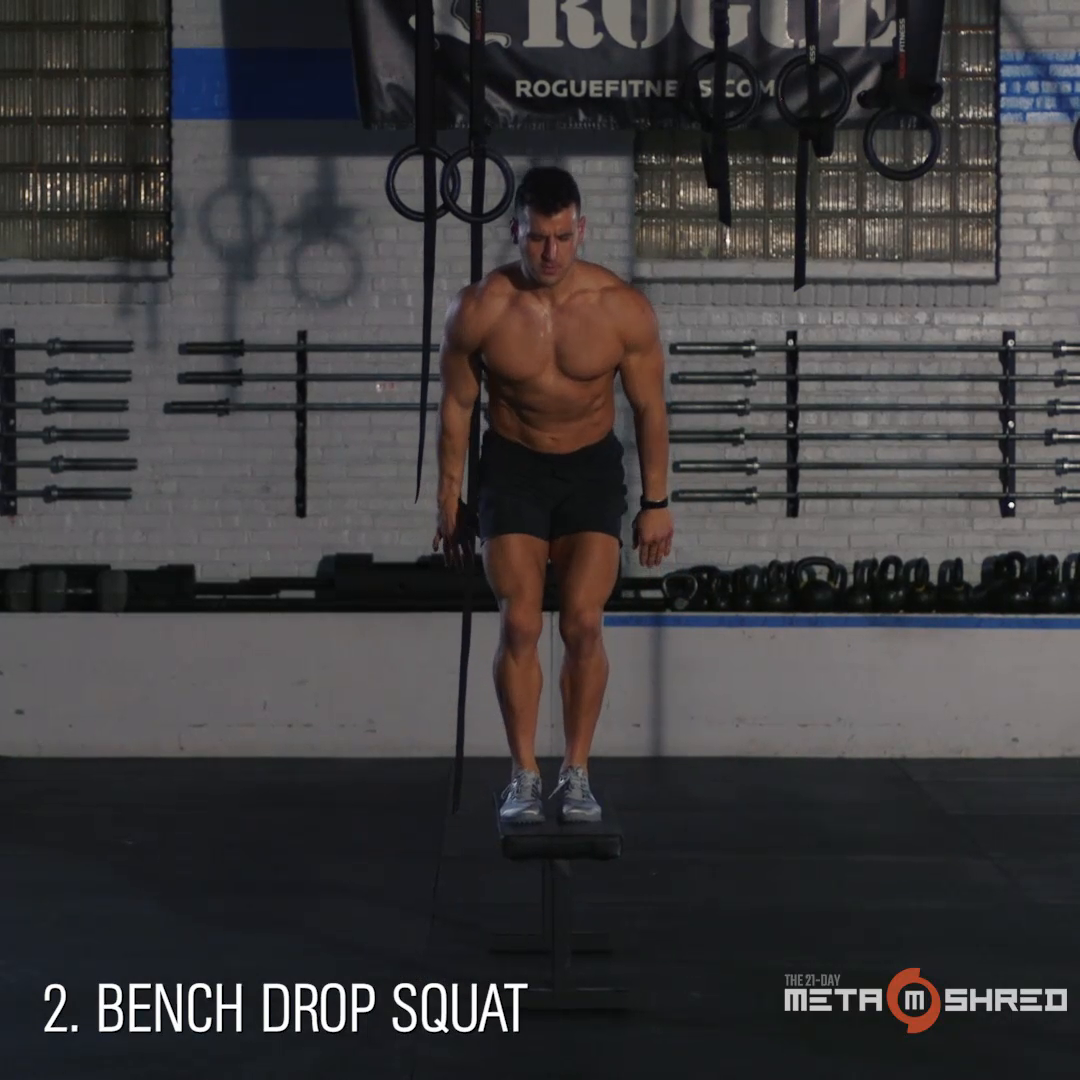 preview for bench metashred