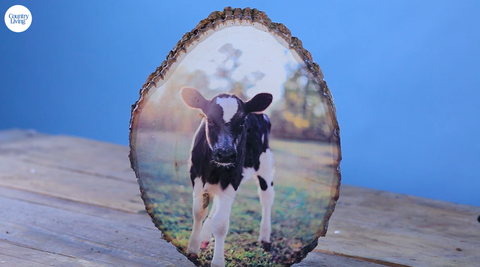 preview for This Wood Slice Photo Transfer Is a DIY Game-Changer