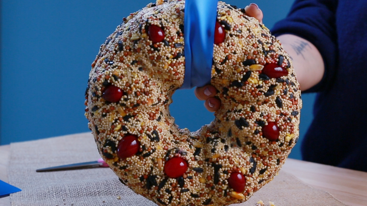 preview for How to Make a Birdseed Wreath for Your Trees