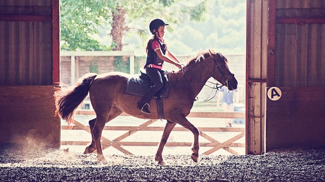 preview for Horseback Riding May Improve Your Child’s Intelligence