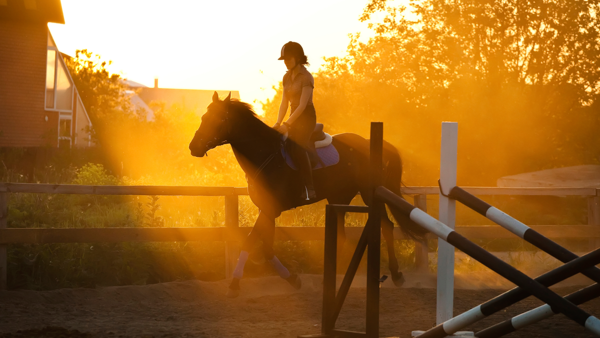 preview for Horseback Riding May Improve Your Child’s Intelligence