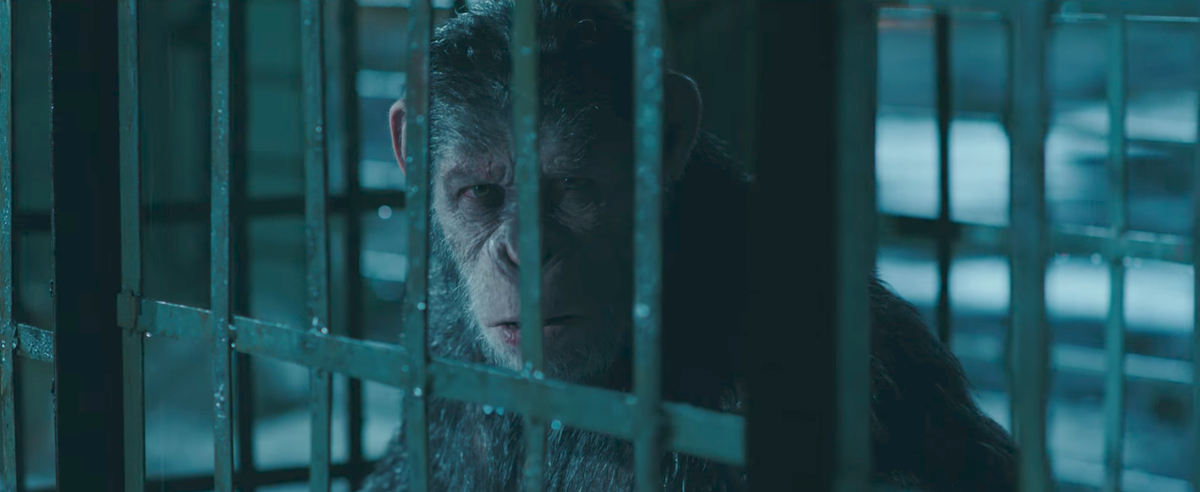 preview for War for the Planet of the Apes trailer