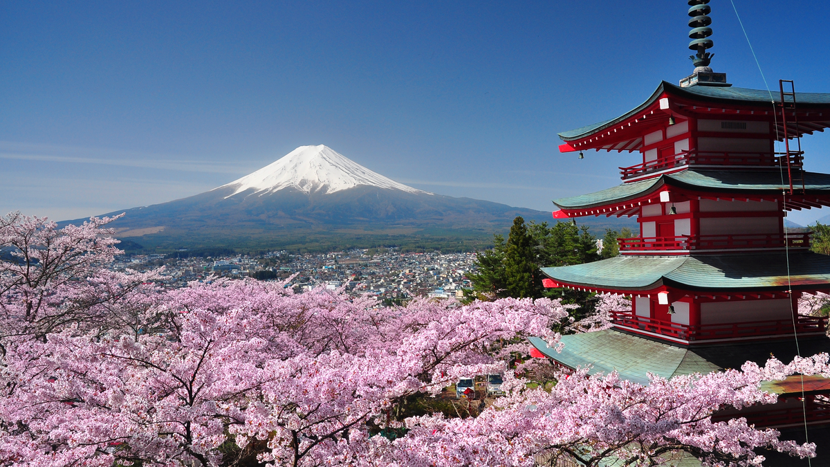 preview for Feast Your Eyes on Japan’s Gorgeous Cherry Blossoms
