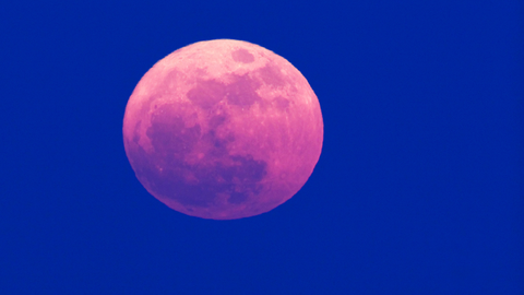 preview for You Don't Want to Miss the "Pink Moon" That Will Light Up the Sky This Week