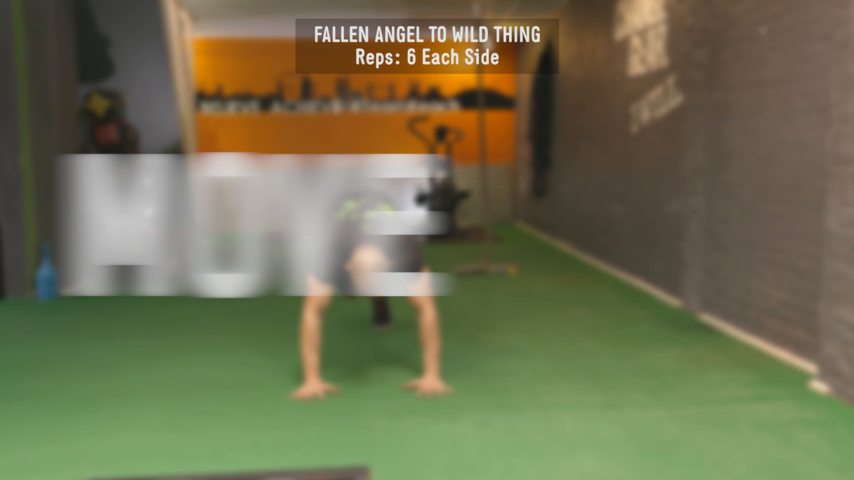 preview for MOVE, SHAPE, SHRED FALLEN ANGEL