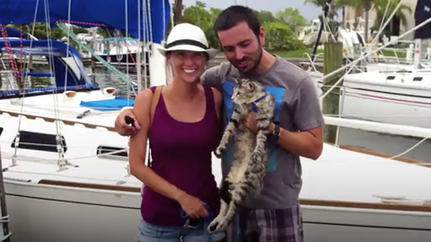 preview for This Couple Quit Their Jobs to Travel the World By Sea With Their Cat