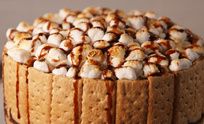 preview for This No-Bake S'mores Cheesecake Is A Summer Showstopper