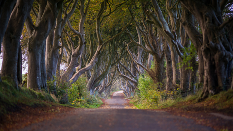 preview for These Destinations Will Make You Feel Like You're On 'Game Of Thrones'