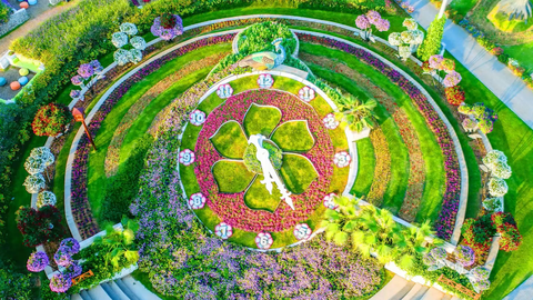 preview for The World’s Biggest Flower Garden Sits in the Middle of a Desert