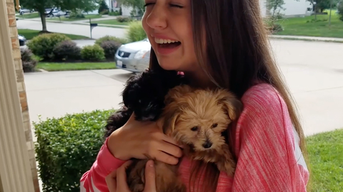 preview for This Girl Was Surprised With Two Puppies For Her 16th Birthday