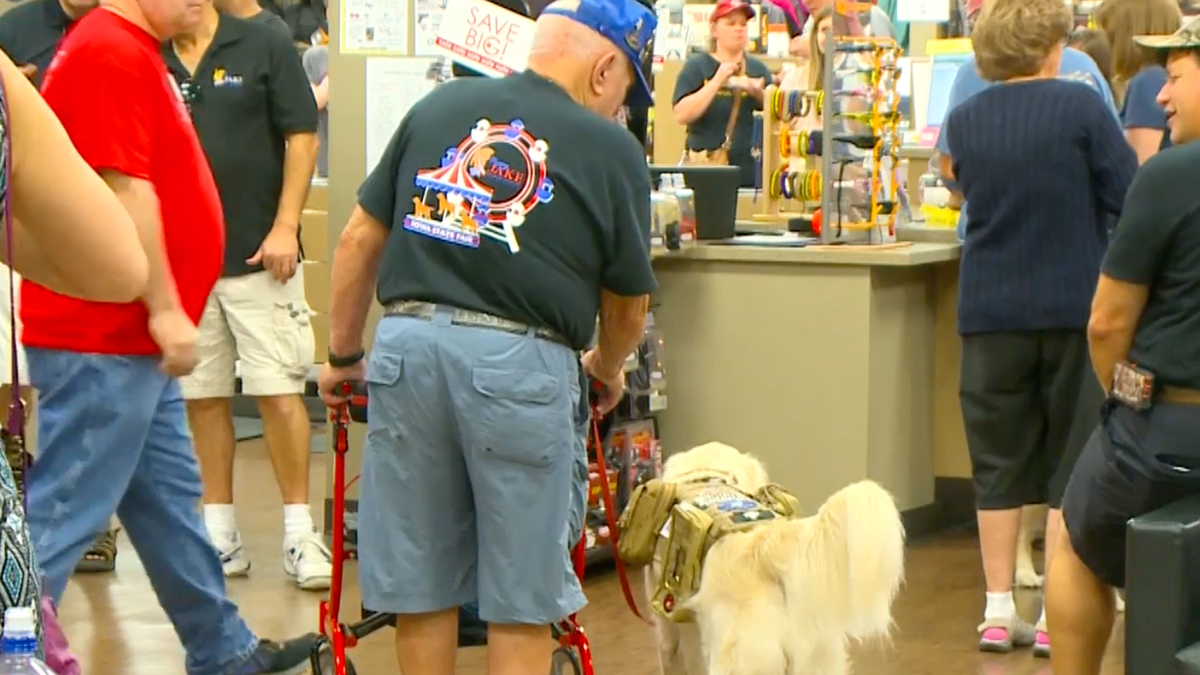 preview for This Foundation Is Making It Possible For War Veterans To Adopt Service Dogs For Free