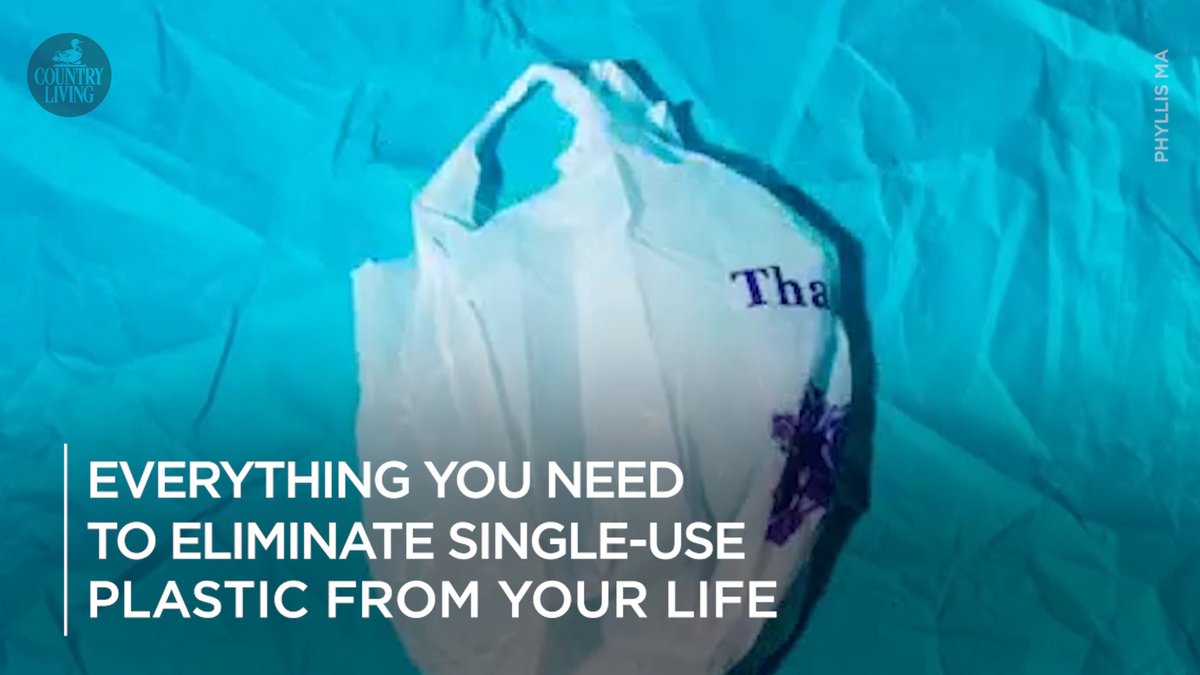 preview for Everything you need to buy once and for all to eliminate single-use plastic from your life