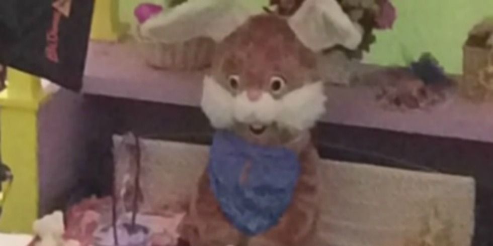 This Mall Hired A Registered Sex Offender To Be The Easter Bunny 1853