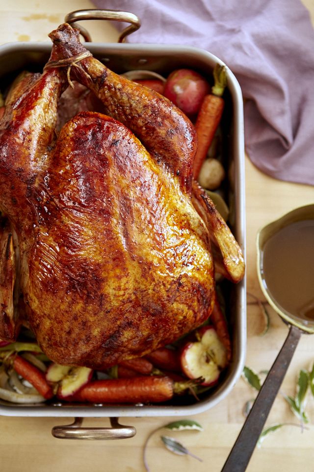 Best Oven Roasted Turkey Recipe - A Well-Seasoned Kitchen®