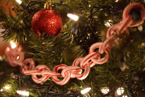 Christmas, Christmas ornament, Christmas decoration, Christmas tree, Tree, Holiday ornament, Ornament, Fir, Candy cane, Holiday, 