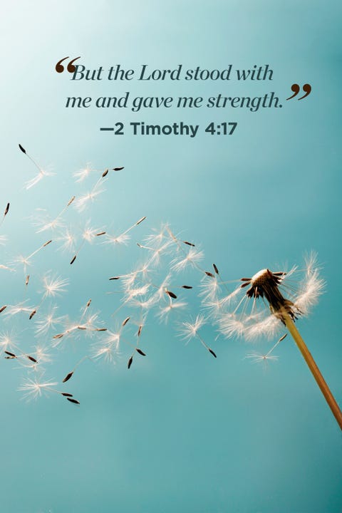 30 Inspirational Bible Quotes About Life Scripture 30 Inspirational Bible Quotes About Life Scripture