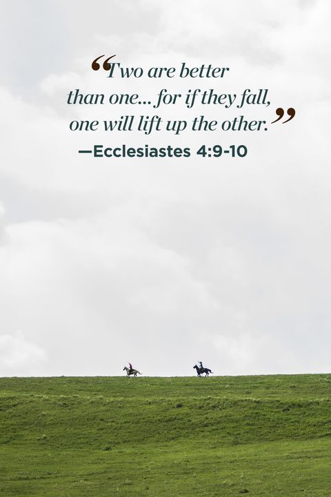 30 Inspirational Bible Quotes About Life  Scripture Verses of the Day