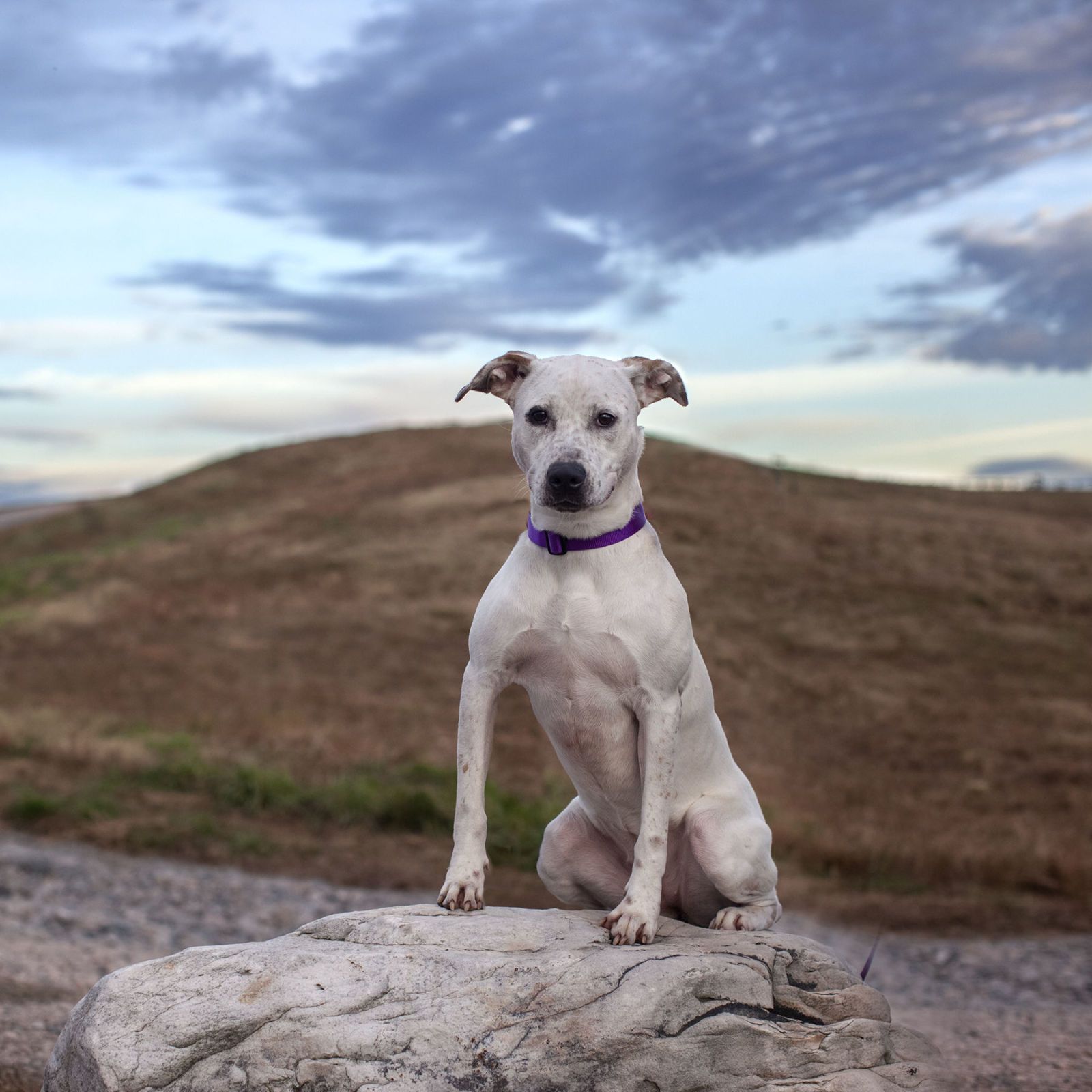 10 Best Photo Series That Are Making The World A Better Place ...