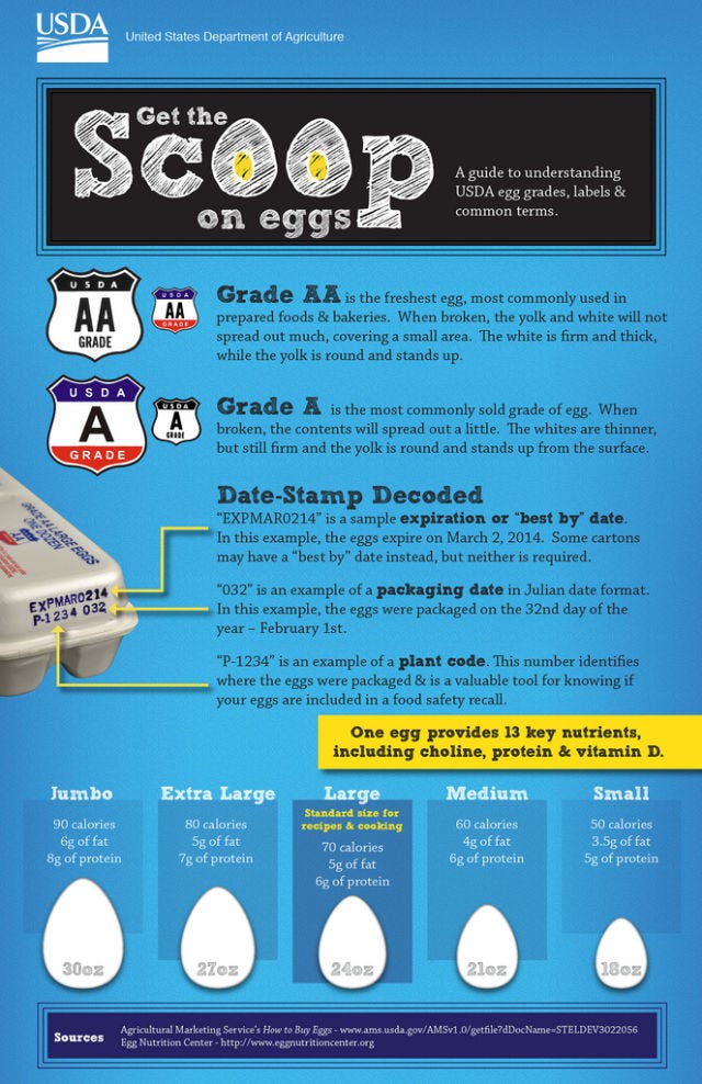 Understanding USDA Egg Grades, Labels & Common Terms