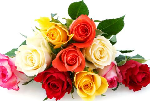 Petal, Flower, Red, Flowering plant, Bouquet, Rose family, Floristry, Orange, Cut flowers, Rose order, 
