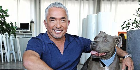 Pet Care Tips from Cesar Millan - Dog Training Tips from ...