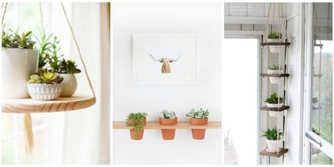 Hanging Plants Diy Plant Hangers Image