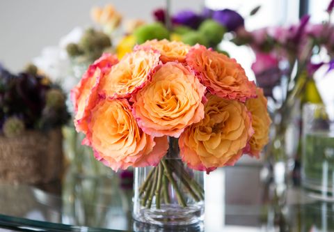 Petal, Bouquet, Flower, Glass, Centrepiece, Cut flowers, Floristry, Flowering plant, Flower Arranging, Peach, 