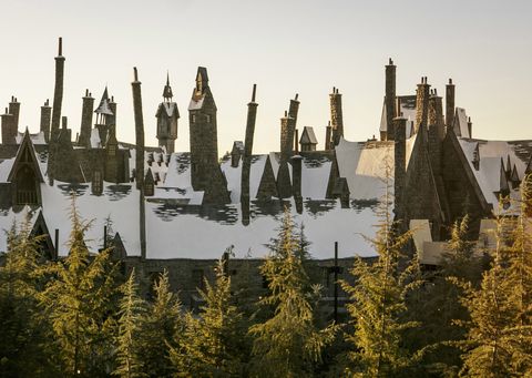 Evergreen, Spire, Roof, Conifer, Skyline, Historic site, Larch, Fir, Turret, Tower, 