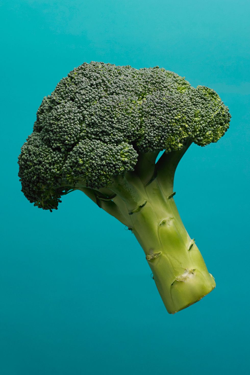 Green, Organism, Broccoli, Vegetable, Leaf vegetable, Cruciferous vegetables, Ingredient, World, Aqua, Teal, 