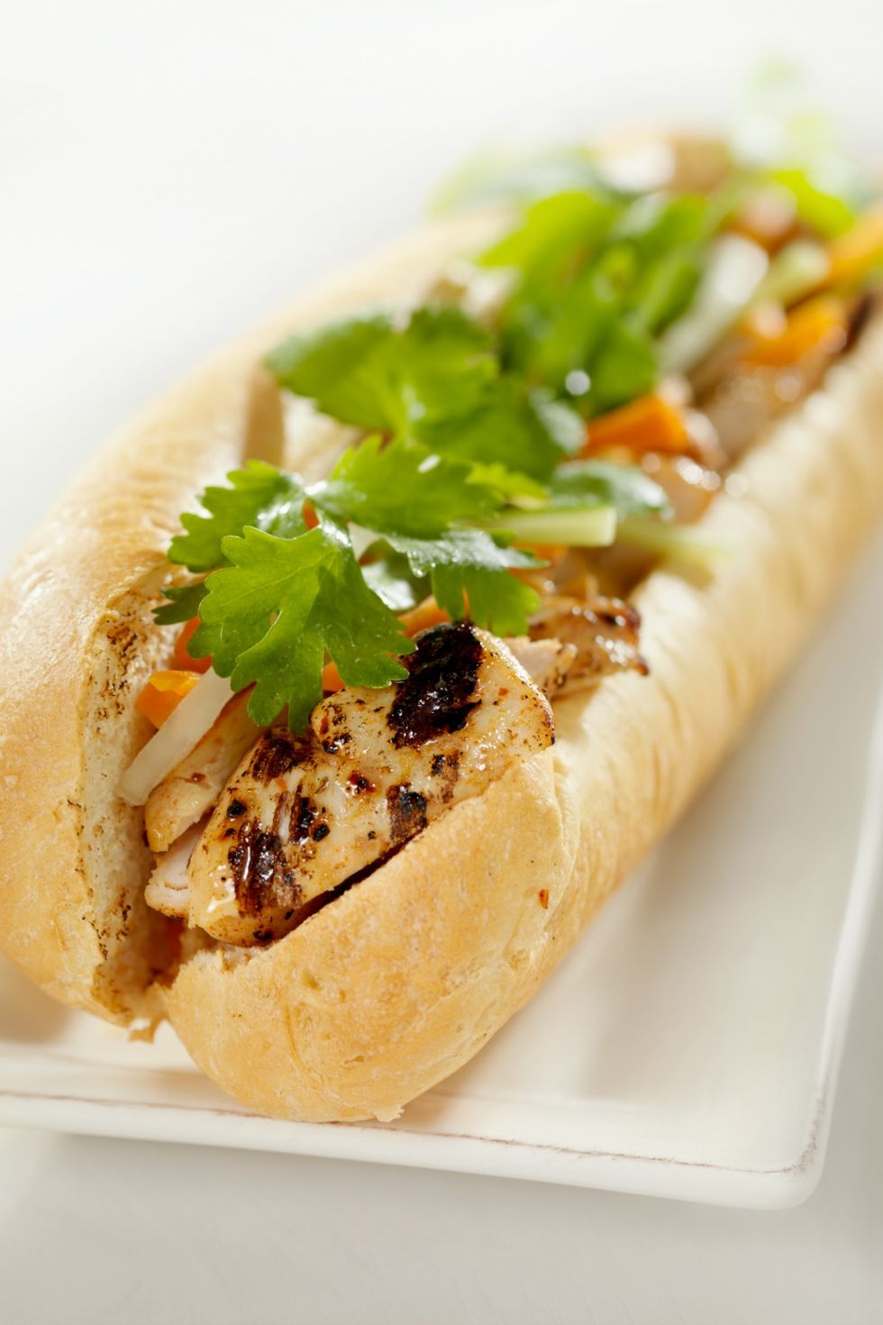 best picnic sandwich recipes vietnamese turkey sandwich
