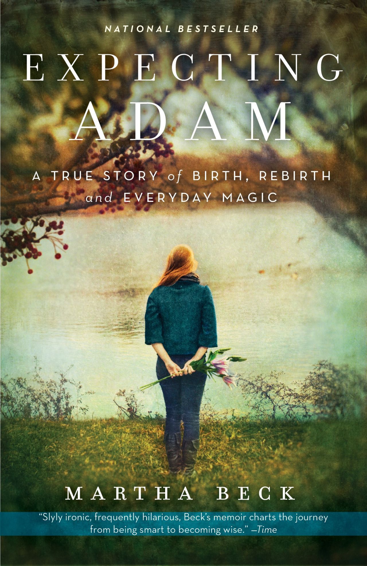 isadora wing novel isadora wing novel