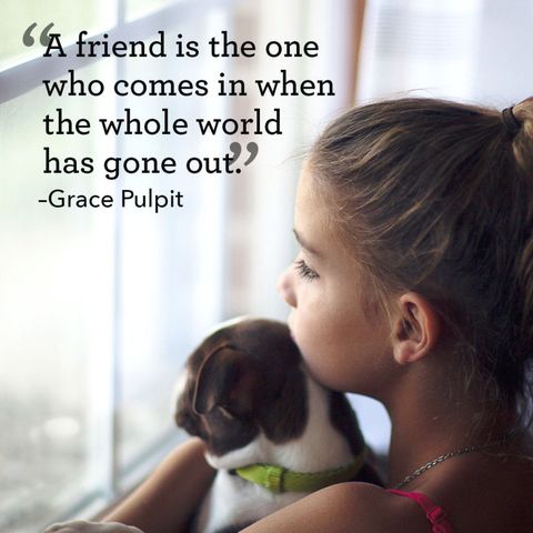 Quotes About Friendship - Quotes About Family