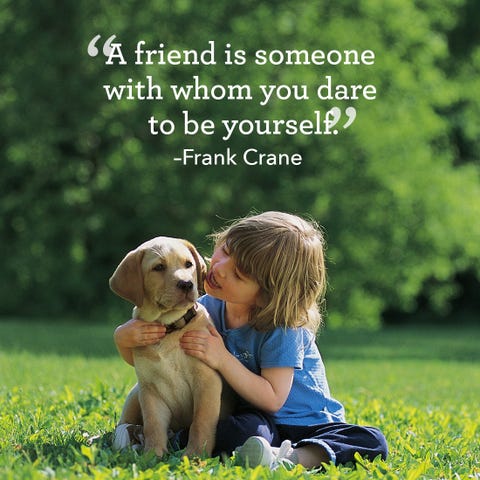 Quotes About Friendship - Quotes About Family