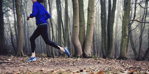 Natural environment, Sportswear, Deciduous, Running, Jogging, Active pants, sweatpant, Electric blue, Woodland, Forest, 