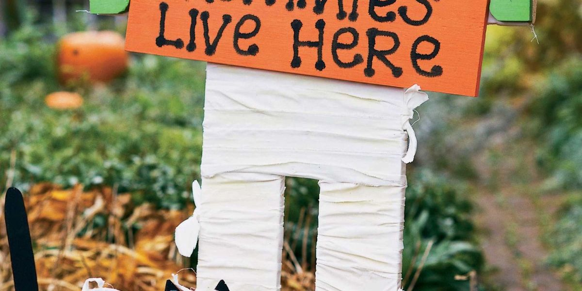 Halloween Decoration Ideas - Find Craft Mummy Sign at WomansDay.com