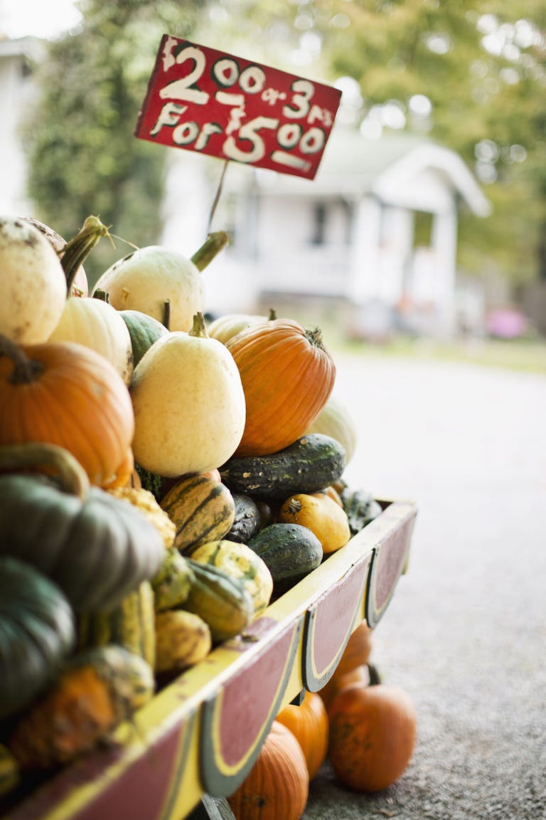 27-romantic-fall-date-ideas-fun-autumn-dates-for-couples