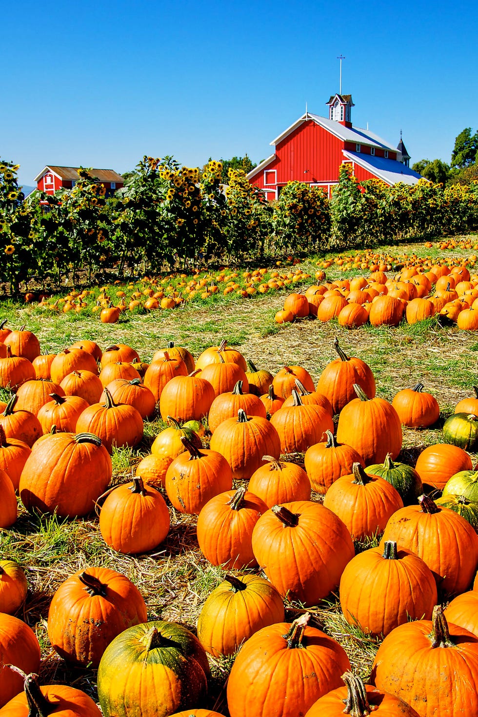 32 Romantic Fall Date Ideas Fun Autumn Dates For Couples 32-romantic-fall-date-ideas-fun-autumn-dates-for-couples