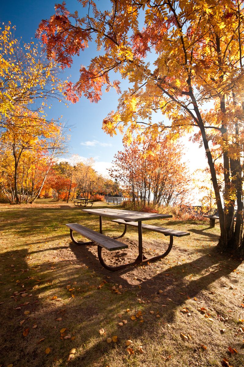 fall date ideas picnic table in a park with fall foliage