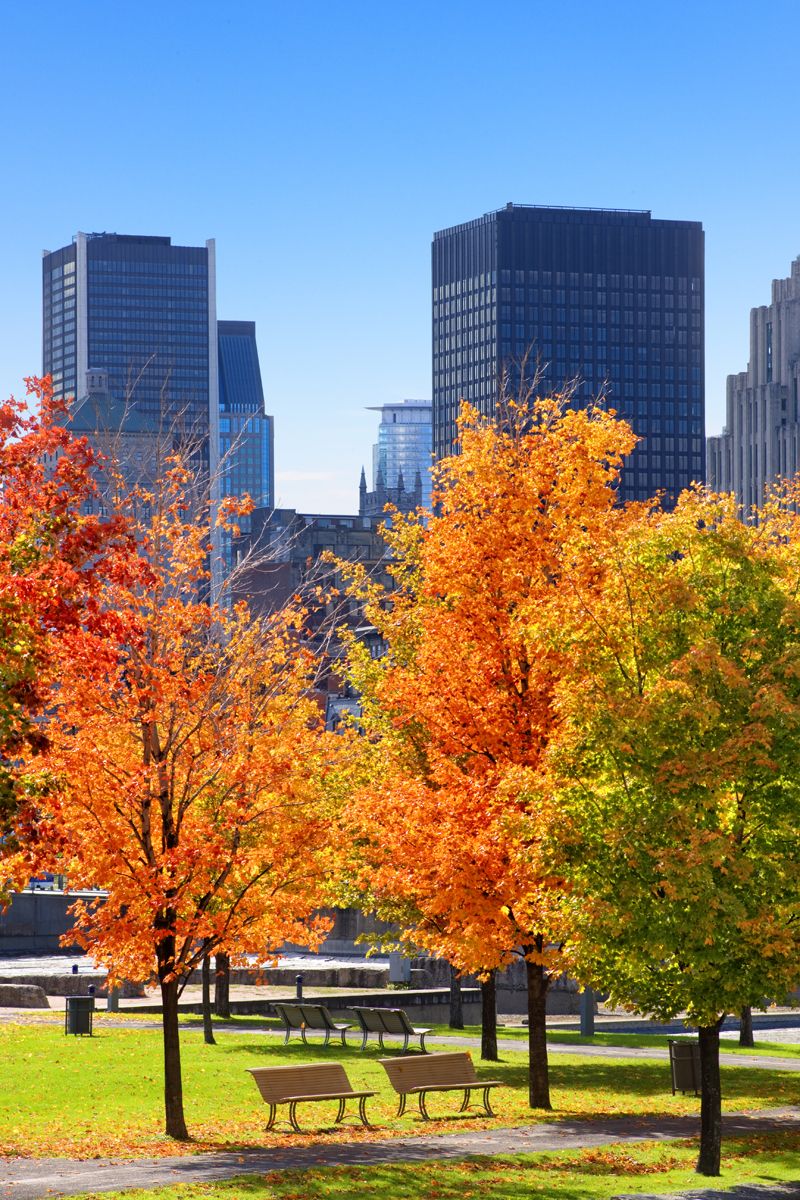 Fall Date Ideas : NYC Parks
