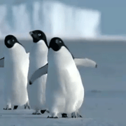 Walking Walking