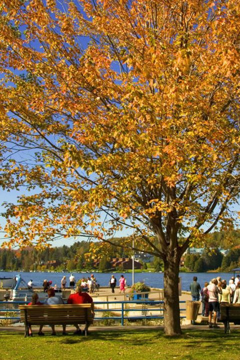 fall activities for families - fall festival